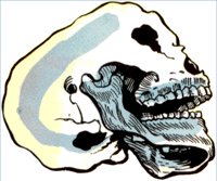 SKULL2.WPG