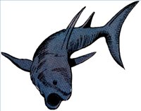SHARK1.WPG