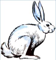 RABBIT.WPG