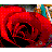 Rose.ico