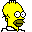 HOMER.ICO