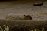 8024.GIF
