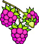 000803_1061_8784_vuvv.wmf
