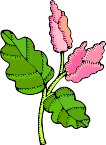 000803_1061_8790_vuvv.wmf