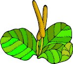 000803_1061_8796_vuvv.wmf