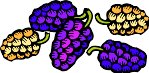 000803_1061_8813_vuvv.wmf