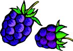 000803_1061_8845_vuvv.wmf