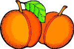 000803_1061_8846_vuvv.wmf