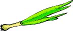 000803_1061_8860_vuvv.wmf