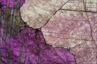 p0314619.JPG