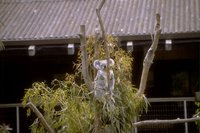 8074.GIF