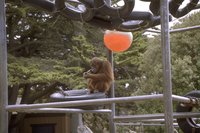 8075.GIF