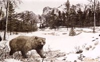BEAR1.GIF