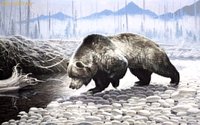 BEAR2.GIF