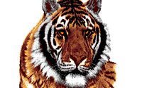 BIGCAT16.GIF