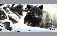 BLCKBEAR.GIF