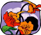 010911_0973_0327_vuvv.wmf