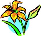 000803_1089_9559_vuvv.wmf
