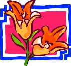000803_1089_9561_vuvv.wmf