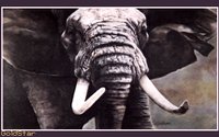 ELEPHAN3.GIF