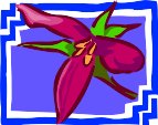 000803_1088_4620_vuvv.wmf