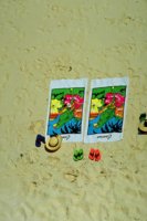 p0305937.JPG