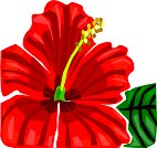 000803_1080_9021_VuvV.wmf
