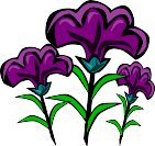 000803_1080_9044_VuvV.wmf