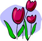 000803_1080_9129_VuvV.wmf