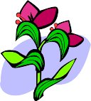 000803_1080_9132_VuvV.wmf
