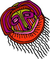 000803_1080_8225_vuvv.wmf