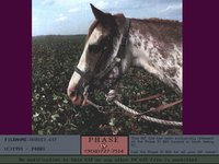HORSE1.GIF
