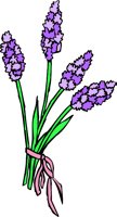 000803_1080_8969_VuvV.wmf