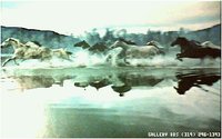 HORSES08.GIF