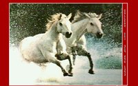 HORSES09.GIF