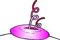 000803_1080_7951_vuvv.wmf