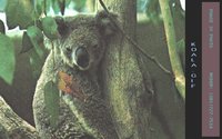 KOALA2.GIF