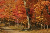 p0300309.JPG