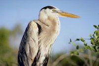 p0300925.JPG