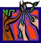 000803_1077_8228_vuvv.wmf