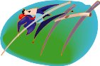 000803_1077_8481_vuvv.wmf