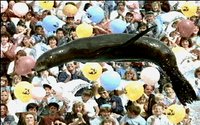 SEAL1.GIF