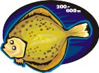 000803_1076_5428_vuvv.wmf