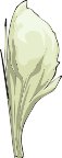 000803_1074_8183_vuvv.wmf