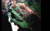 BAY2.GIF