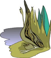 g0207258.WMF