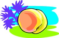 000803_1073_9479_vuvv.wmf