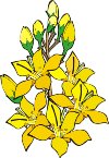 000803_1073_9309_vuvv.wmf