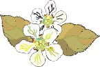 000803_1073_9313_vuvv.wmf