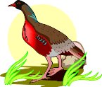000803_1069_5845_vuvv.wmf
